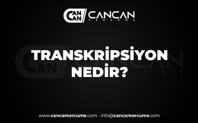 Transkripsiyon Nedir ?