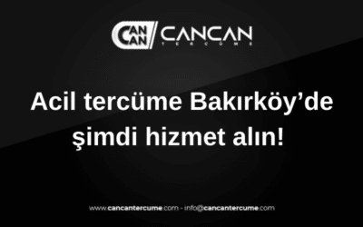acil tercüme bakırköy