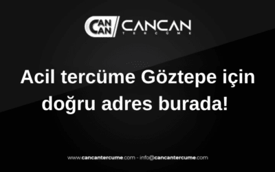 acil tercüme göztepe