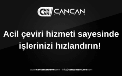 acil çeviri hizmeti