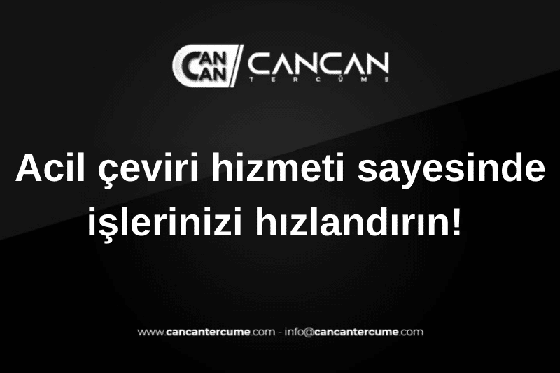 acil çeviri hizmeti