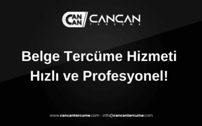Belge tercüme hizmeti