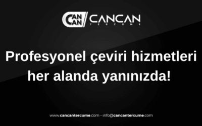 profesyonel çeviri hizmetleri