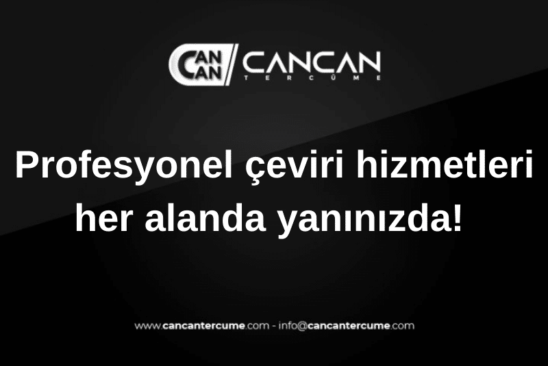 profesyonel çeviri hizmetleri
