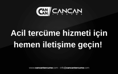 acil tercüme