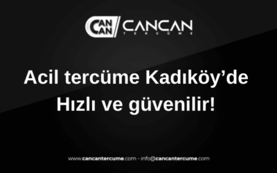 acil tercüme kadıköy