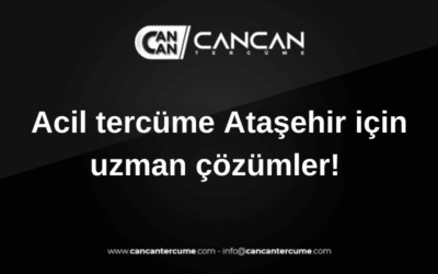 acil tercüme ataşehir