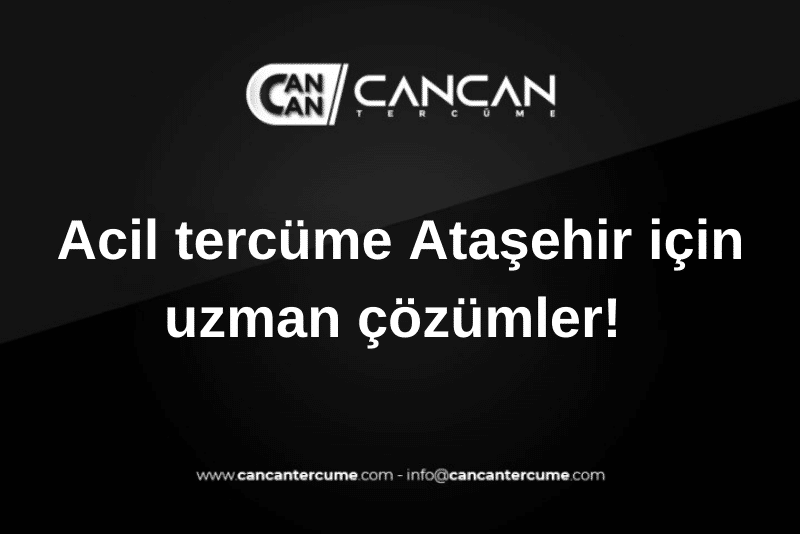 acil tercüme ataşehir