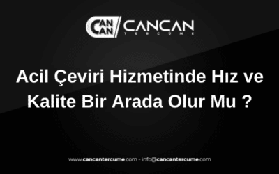 acil çeviri hizmeti