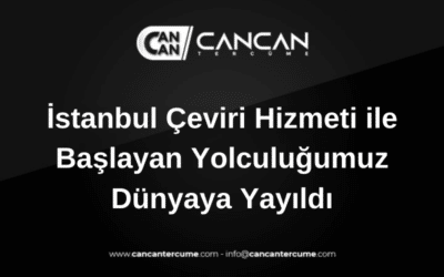istanbul çeviri