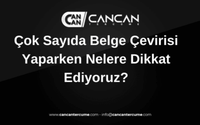 çok sayıda belge çevirisi