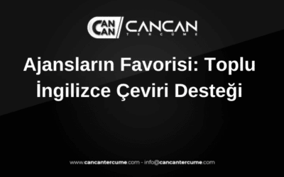 toplu ingilizce çeviri
