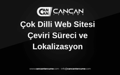 web sitesi çeviri