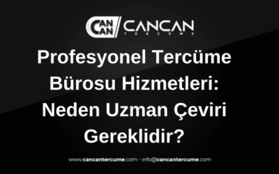 profesyonel tercüme bürosu