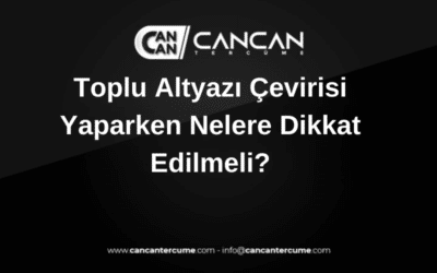 toplu altyazı çevirisi